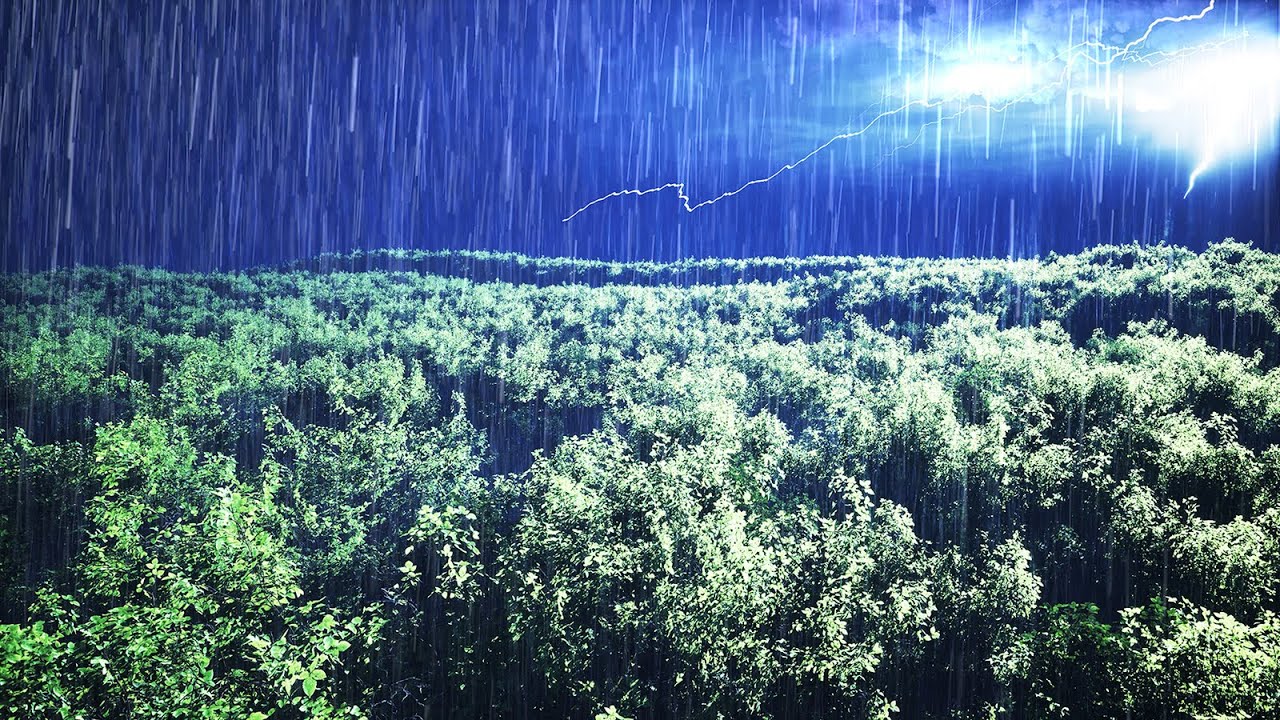 Stormy Forest Night | Heavy Rain Sound and Lightning Sound