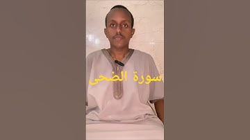 سورة الضحى القارئ محمد إبراهيم ديريا. #القرآن_الكريم #المصحف