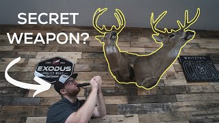 The Best Grunt Tube Ever?!
