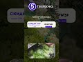 Редкий Промо От Пятёрочки