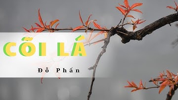 CÕI LÁ / NGỮ VĂN 11 / SÁCH CHÂN TRỜI SÁNG TẠO