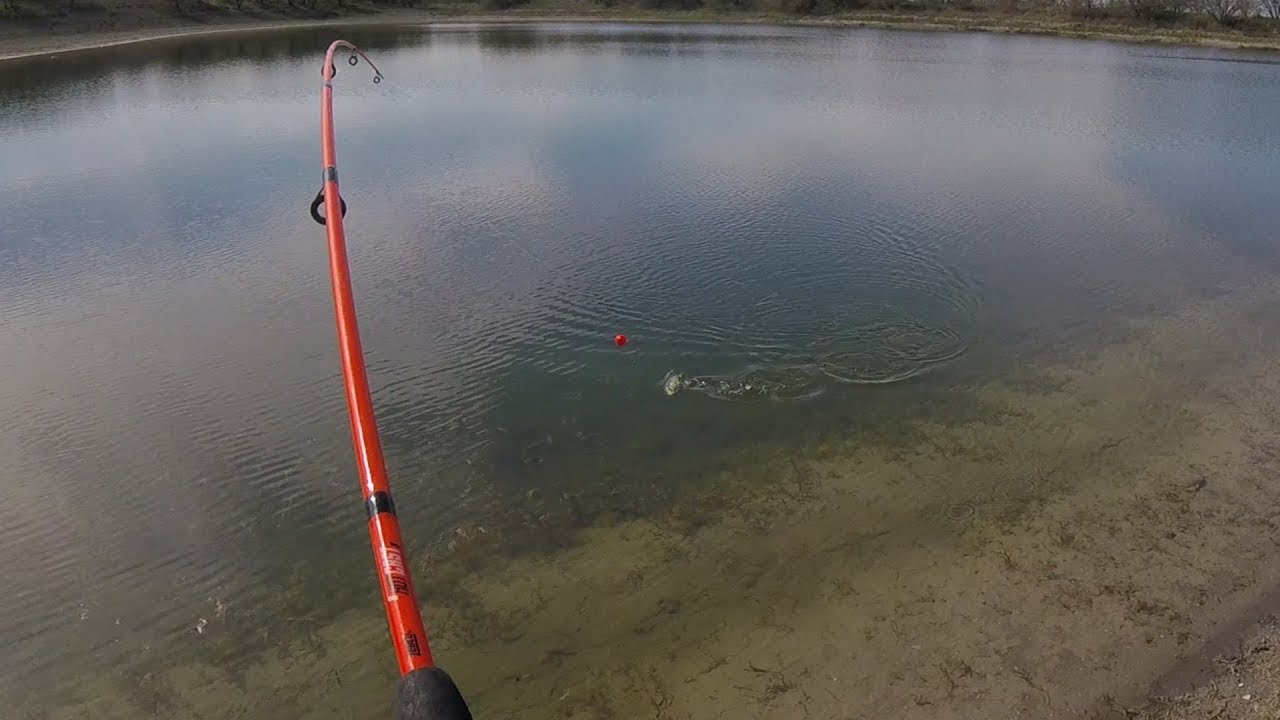 How to Catch Pond Bluegill with Worms!
