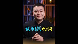 2.崔磊说：被制裁的猫