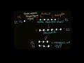 Photosynthesis and the Calvin Cycle Quiz