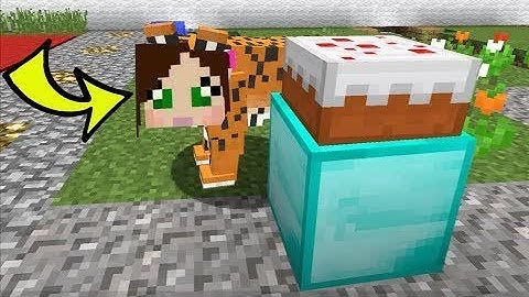 PopularMMOs Pat and Jen Minecraft: TIGERS HIDE AND SEEK!! - Morph Hide And Seek - Modded Mini-Game