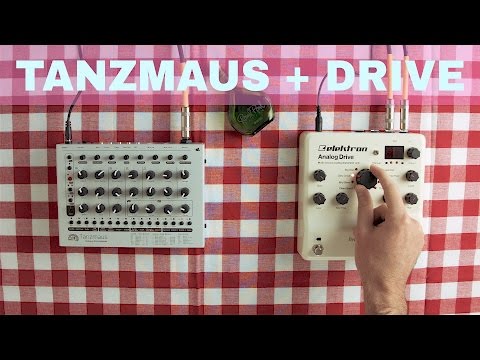 MFB TANZMAUS + ELEKTRON ANALOG DRIVE ~ Will They Pair? Ep.03