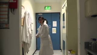Lorraine Carr - Interactions Between Tuberculosis and the Immune System
