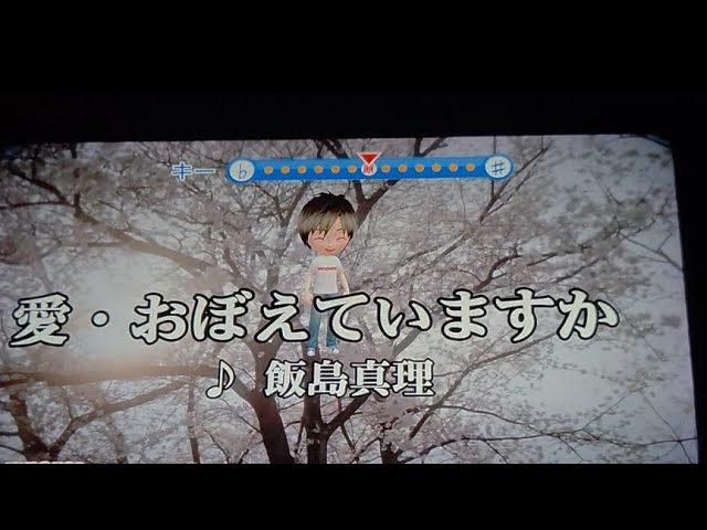 Wii カラオケ U - (カバー) アイスクリームパラダイス / 渡辺香理/東京
