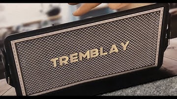 Tremblay Bluetooth speaker packs a punch - Economical and Small Size | Quirky Geekery