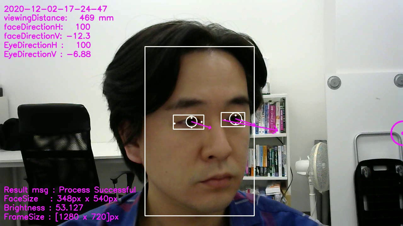 視線検出技術 Sdk 単眼カメラ スマホカメラで視線検出可 ヒューマンセンシング