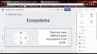 Inserting and Modifying Text in New Google Sites