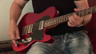 Used 2016 Haar Traditional T - Amber Pafs, Part2