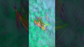 Pineapple Under The Microscope