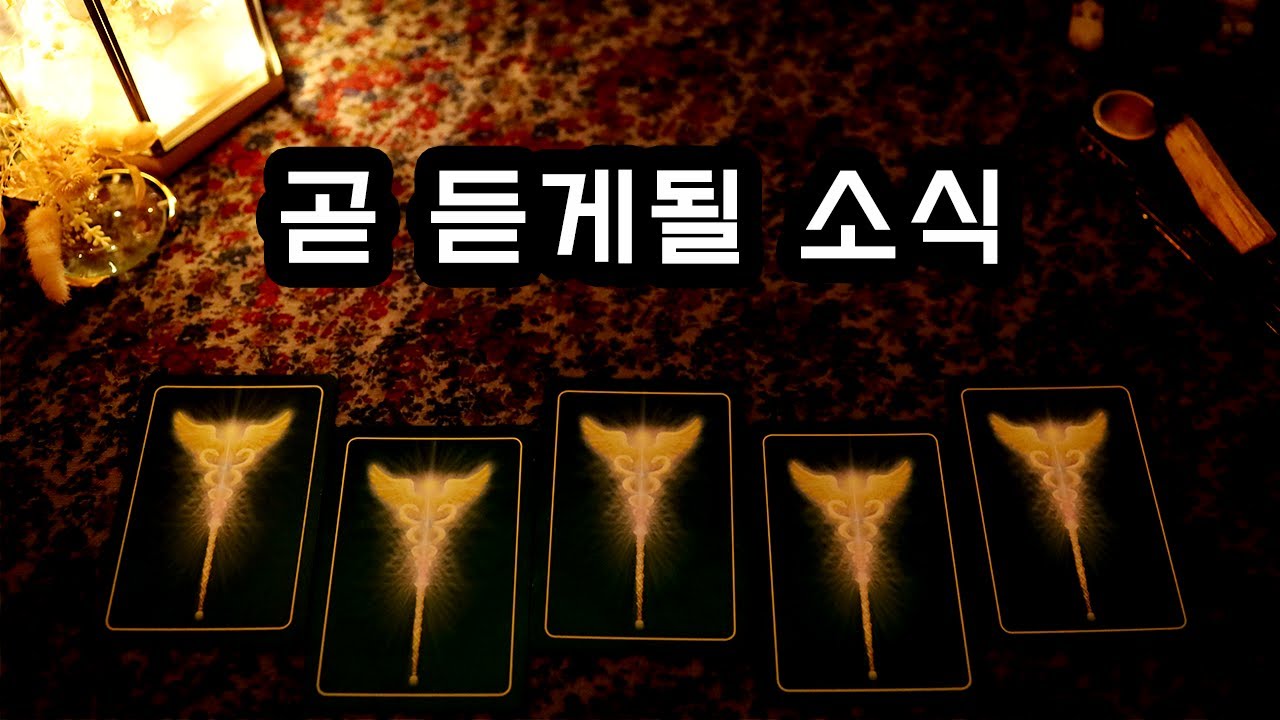 [타로] 곧 듣게 될 소식