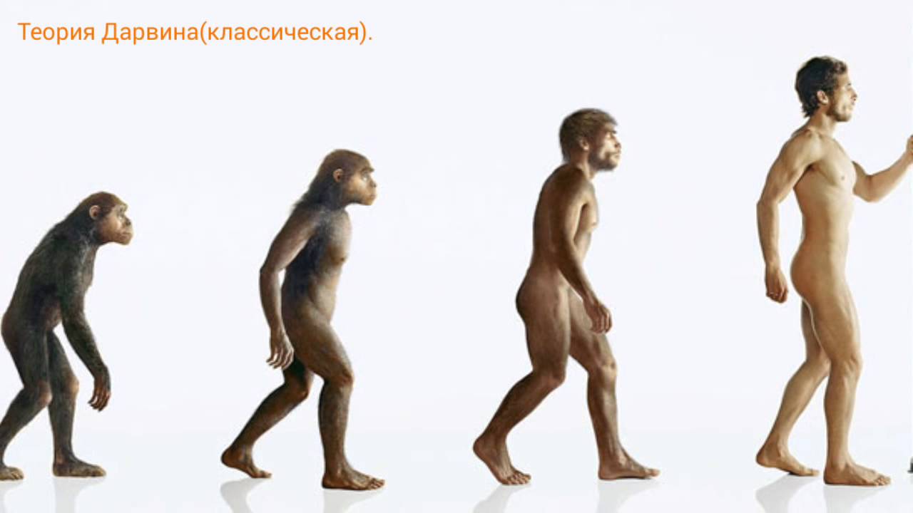 Как появился человек для детей. Эволюция человека. Становление обезьяны в человека. От обезьяны к человеку. Превращение обезьяны в человека.