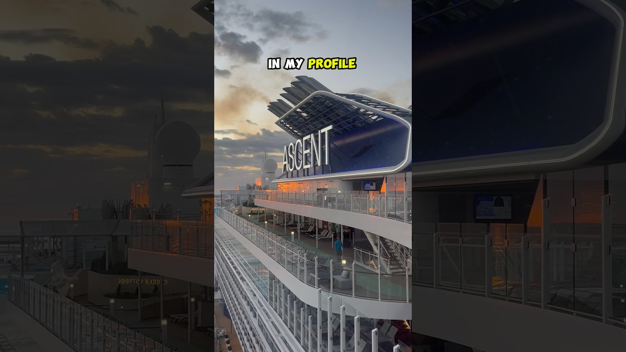 Top 5 Cruise Cabin Tips (2024)