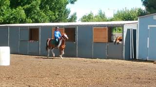 Famous Hannah and raz 3 Net Worth