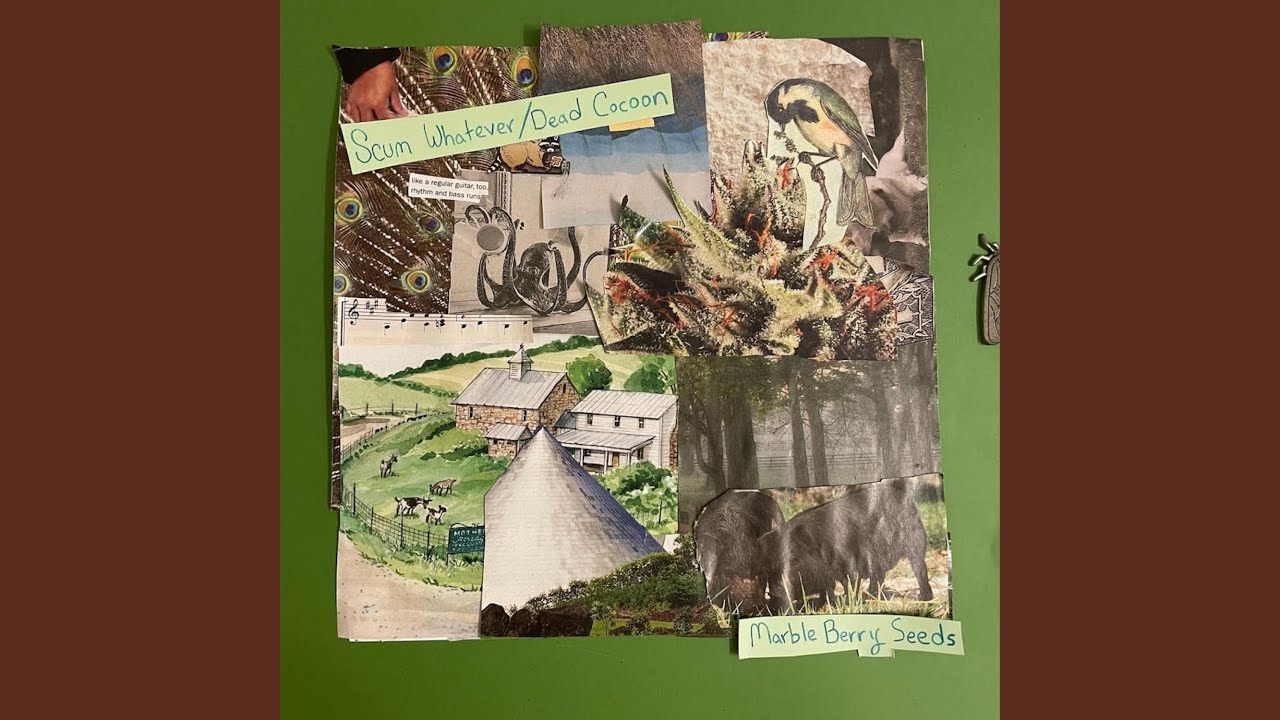 Watch Scum Whatever on YouTube Watch Scum Whatever on YouTube