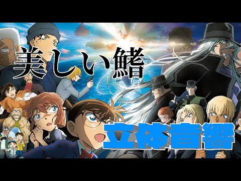 美しい鰭　多分立体音響