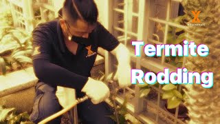 Termite Rodding Method
