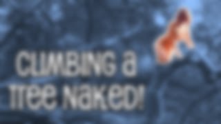 Lety Does Climbing A Tree Iii