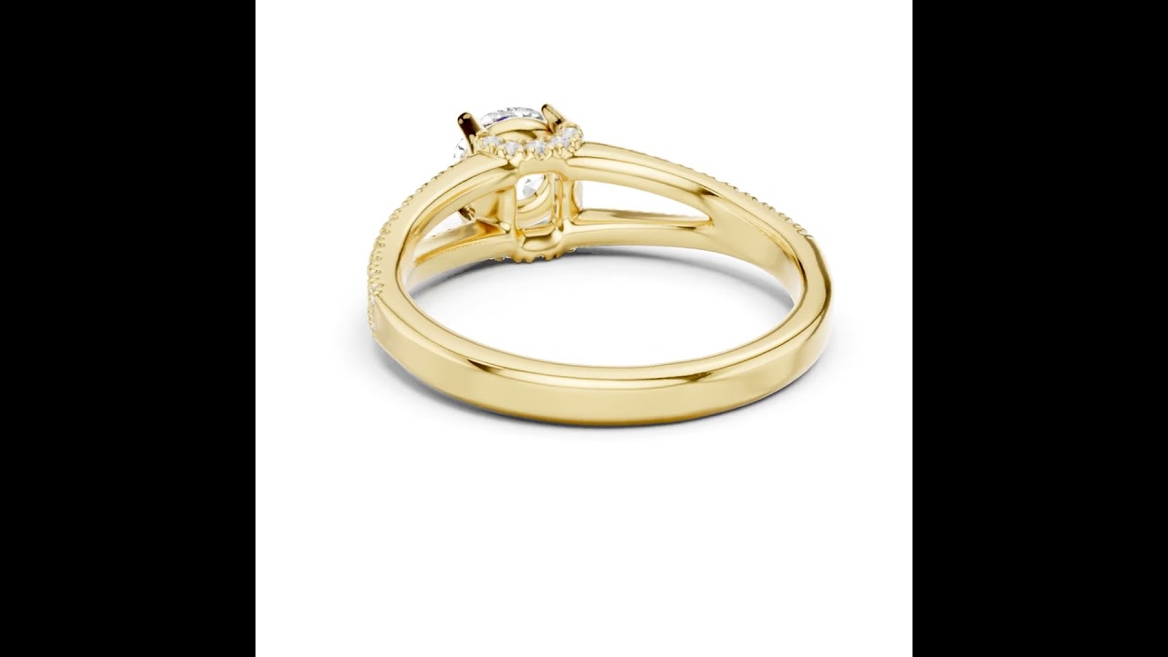 Round Cut Diamond Split Shank Engagement Ring with Hidden Halo