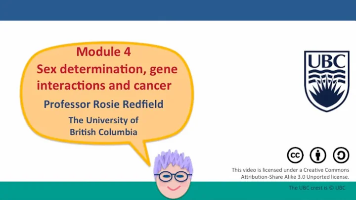 4E - Expression of X-linked genes in males, part 1