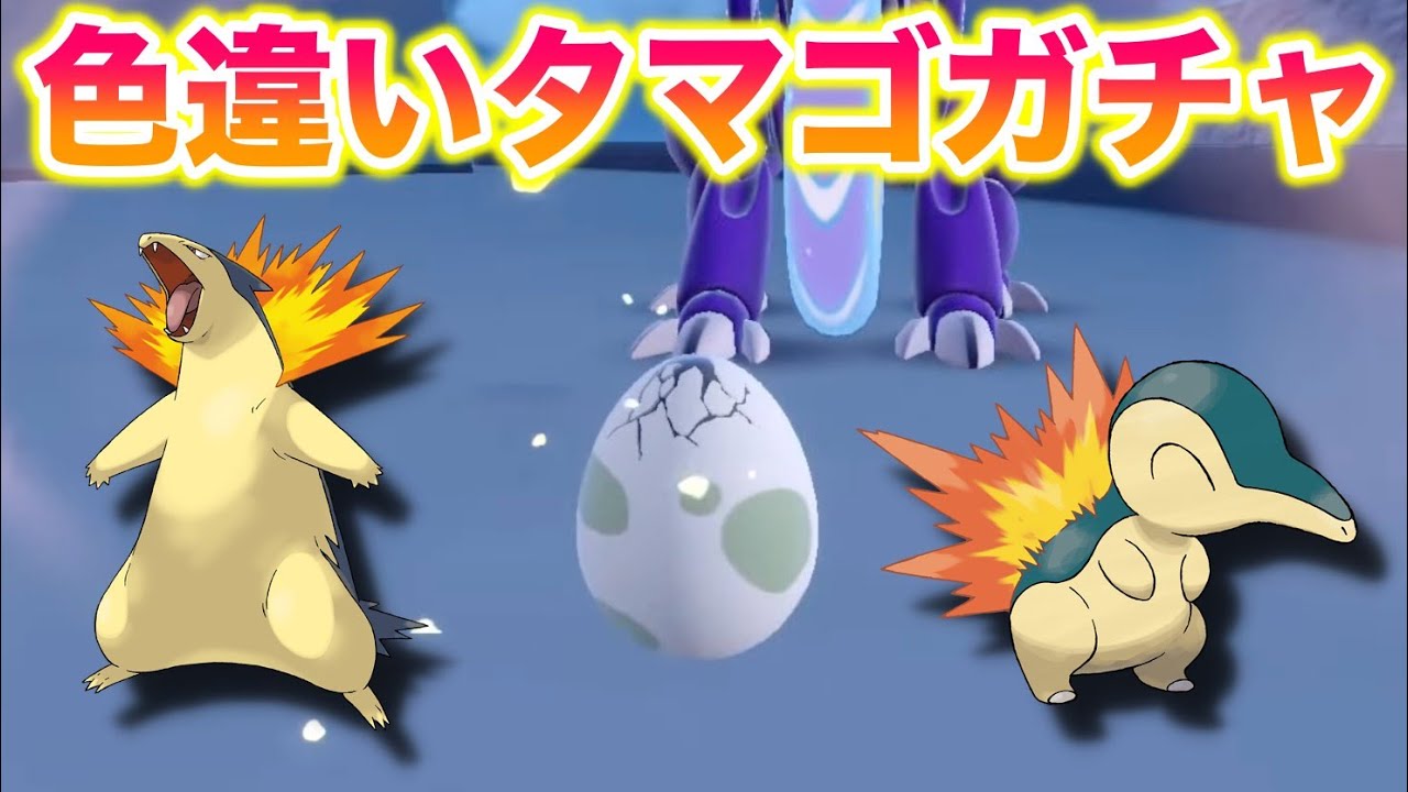3 タマゴガチャで色違いバクフーン（ヒノアラシ）を1000個までには出す