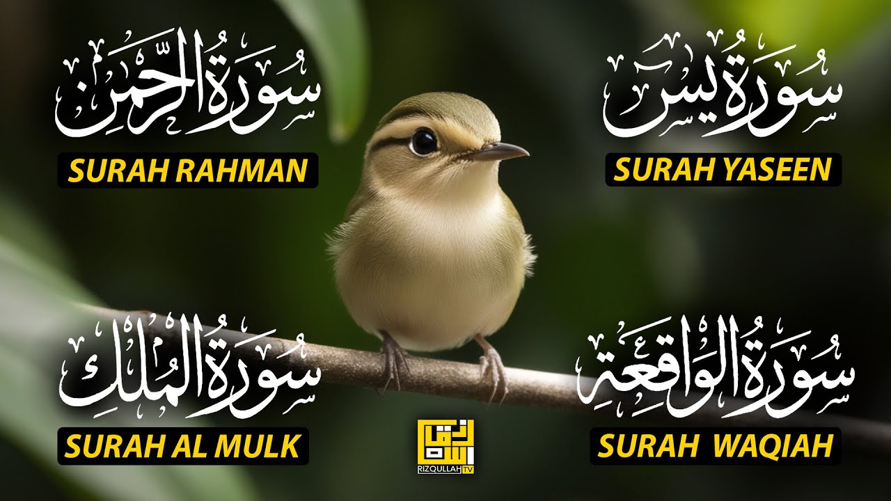 Beautiful Surah Yaseen (Yasin) | Surah Rahman | Surah Waqiah | Surah Mulk EP71