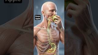 Green Apple Detox Flow Animation#health #animation #relaxing #viral #3danimation #food #viral #apple