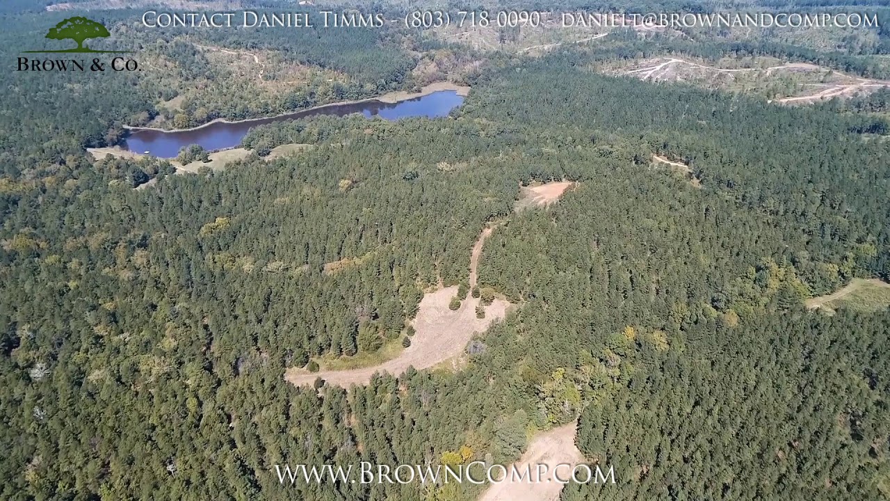 79 Acres For Sale White Oak, South Carolina YouTube