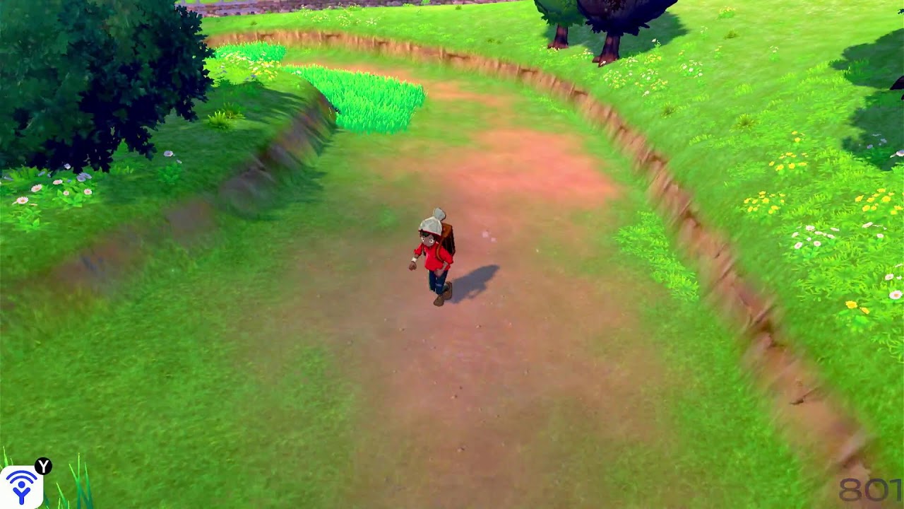 Pokemon sword shiny only run