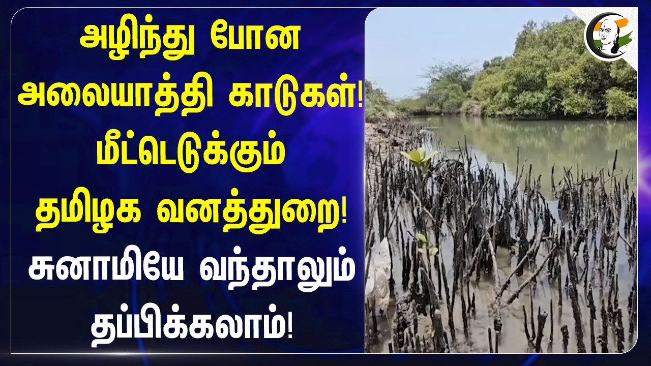 சுனாமியே வந்தாலும் தப்பிக்கலாம்! மீட்டெடுக்கும் TN Forest Department! | Thoothukudi Mangrove forests