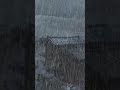 Pure Rain Calm