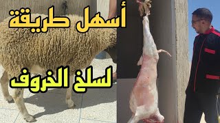 أسهل طريقة باش نسلخ الحولي ديالي بوحدي (خروف العيد) مع خوكم السيمو الجزار