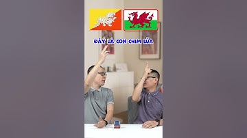 Hỏi đáp nhanh: Đừng có nhầm lẫn cờ này nha #shorts