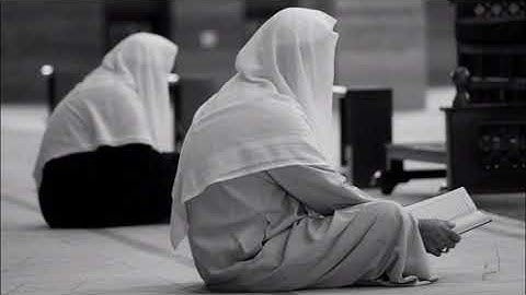 الشيخ أبو بكر الشاطرى | تلاوة رائعة من سورة القصص