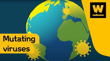 How do Covid-19 variants happen? | Wellcome