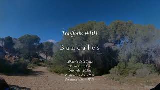 Trailforks #101 - Bancales (Alhaurín de la Torre)