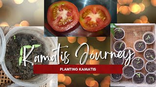 Famous Performance Task# 1   Planting  of Kamatis Wealth