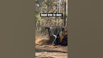 Dead tree to dust in seconds. #tree #mulching #fyp #foryou #texas #asv #mulcher