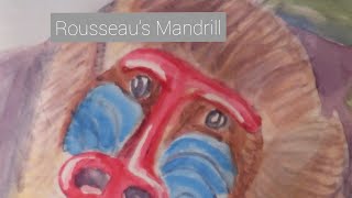 timelapse of watercolour painting of Russeau's Mandrill
