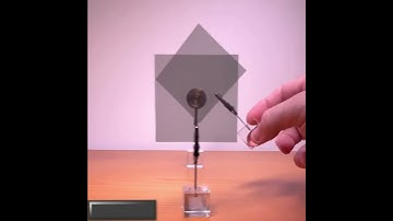 Three Polarizing Sheets: quantum mechanical behaviorwith light polarization.#shorts #physics