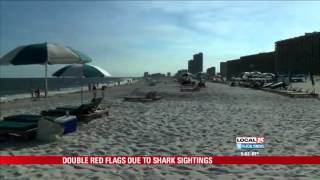 Shark Sightings Close Beaches to Swimmers