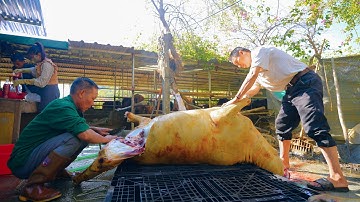 SAPA TV | CẤP TỐC LÀM THỊT THÊM 5 CON NGỰA NẤU THẮNG CỐ PHỤC VỤ CÁC THỰC KHÁCH XẾP HÀNG CHỜ ĂN