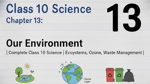 Chapter 13: Our Environment | Complete Class 10 Science | Ecosystems, Ozone, Waste Management | 