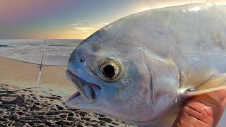 I Had To Work To Catch Some Keepers Today - Too Many "trash Fish"