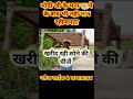 "सोने की चीजें न खरीदें" 🤣🤣।। #funny #modi_ji