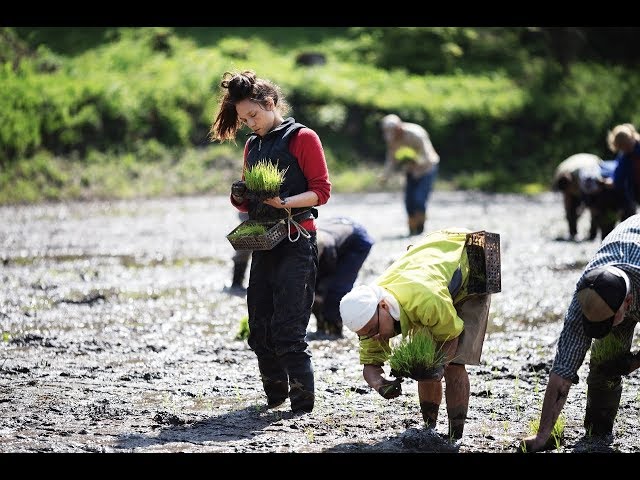 映画『ZEN FOR NOTHING～何でもない禅～』予告編