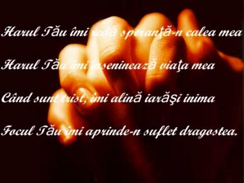 Harul Tau - versuri